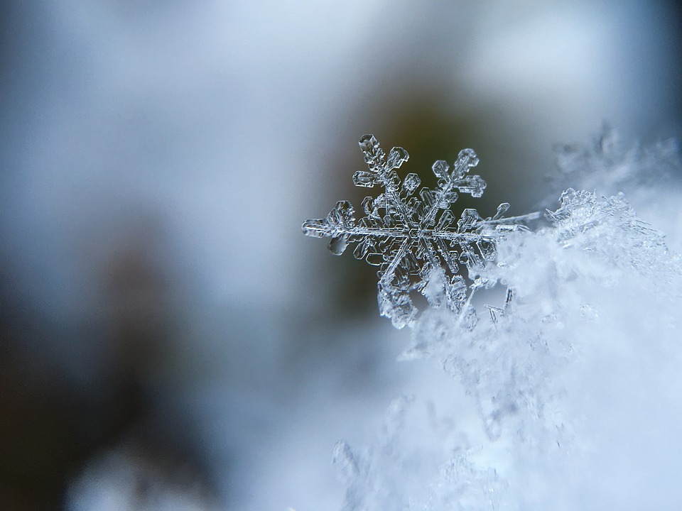 pixabay.com