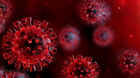 koronavirus.gov.hu